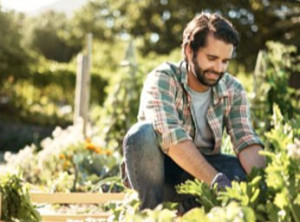 Réussir son aménagement de jardin (pour mieux vendre votre logement)